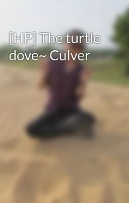 [HP] The turtle dove~ Culver