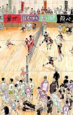 (HQ X Reader) Sẽ Thế Nào Nếu Các Anh Trai Haikyuu Có Bạn Gái