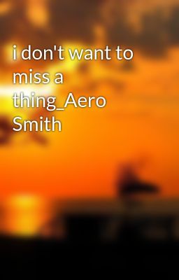 i don't want to miss a thing_Aero Smith