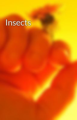 Insects