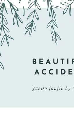 [JaeDo] Beautiful Accident