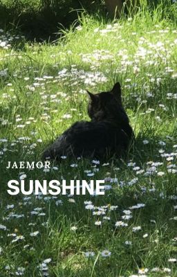 JaeMor - Sunshine