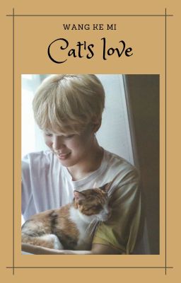 Jimin │ Cat's love