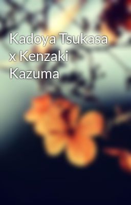 Đọc Truyện Kadoya Tsukasa x Kenzaki Kazuma - Truyen2U.Net
