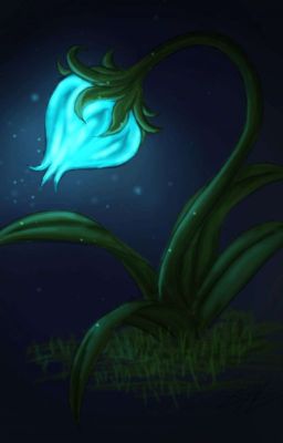 [KaeLuc][Fic-trans] A lamp grass to guide the way