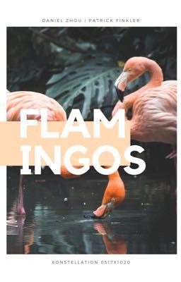 kepat | flamingos