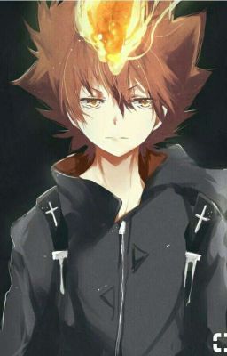 [KHR] [ ALL27]Varia Tsuna Fanfic Collection