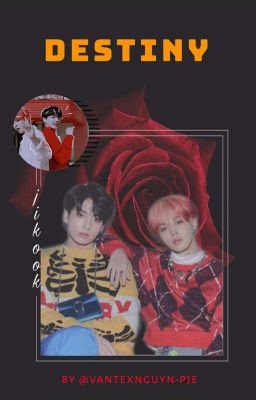 kookmin | destiny 