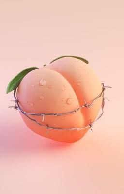 kooktae; prickly peach