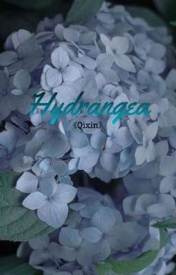 Đọc Truyện |Kỳ Hâm| - Hydrangea  - Truyen2U.Net