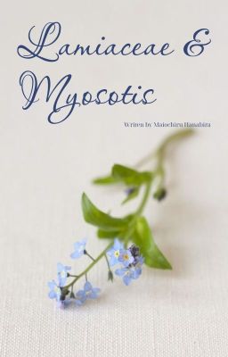Đọc Truyện Lamiaceae & Myosotis - Truyen2U.Net