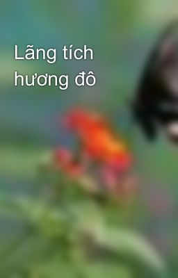 Lãng tích hương đô