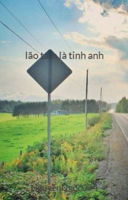 lao tam la tinh anh - kim huyen