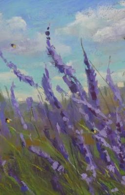 Đọc Truyện Lavender field - Truyen2U.Net