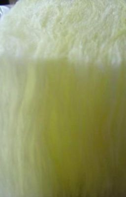 Len thủy tinh dày 25mm có lớp bạc cách nhiệt 