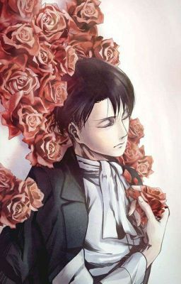 [Levi x Reader] Định Mệnh Ta Gặp Nhau