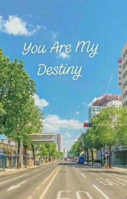Đọc Truyện [Lizkook, Sujen] You Are My Destiny - Truyen2U.Net