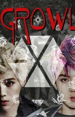 [Long fic | HunHan, EXO cps] Growl