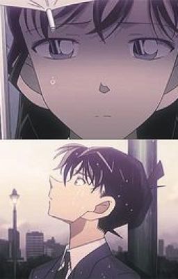 {Longfic___Shinichi x Ran} Tôi ghét cậu Kudo!!!!!!