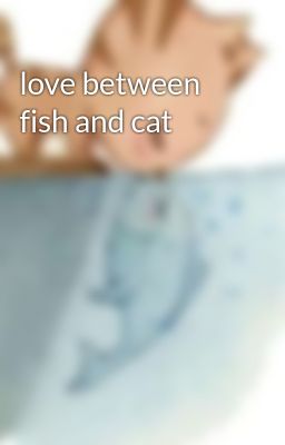 love between fish and cat