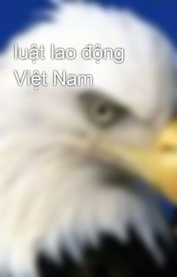 luật lao động Việt Nam