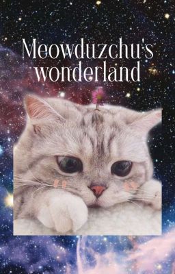 Meowduzchu's Wonderland