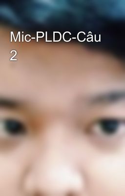 Mic-PLDC-Câu 2
