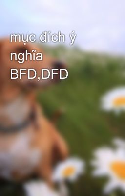 mục đích ý nghĩa BFD,DFD