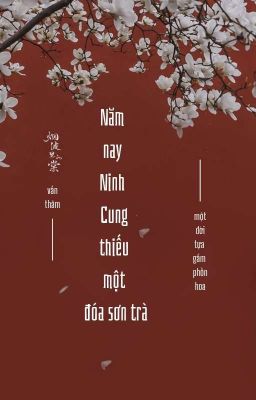 Năm Nay Ninh Cung Thiếu Một Đóa Sơn Trà | 2cs.
