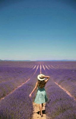 Nắng Provence.