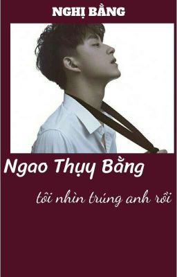 [Nghị Bằng] Ngao Thụy Bằng, tôi nhìn trúng anh rồi