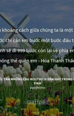 Ngôn Tình Tiểu Thuyết 