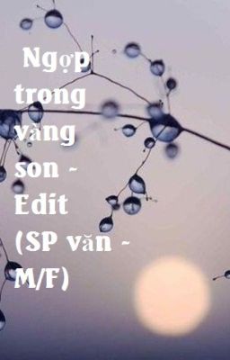 Đọc Truyện Ngợp trong vàng son - Edit (SP văn - M/F) - Hoàn - Truyen2U.Net