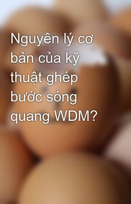 Nguyên lý cơ bản của kỹ thuật ghép bước sóng quang WDM?