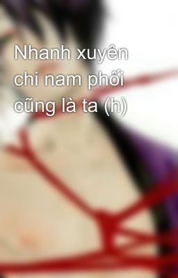 Nhanh xuyên chi nam phối cũng là ta (h)