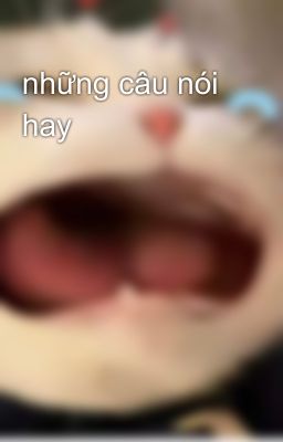 những câu nói hay