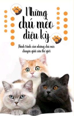 Đọc Truyện Những Chú Mèo Diệu Kỳ - Truyen2U.Net