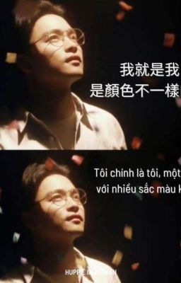 NOMIN|| MÙI CHUỐI CHÍN