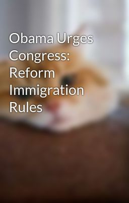 Obama Urges Congress: Reform Immigration Rules