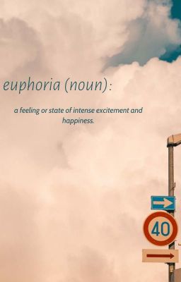 Đọc Truyện [oneshot aov] euphoria - Truyen2U.Net