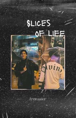[Oneshot] [GeminiFourth] Slices of life