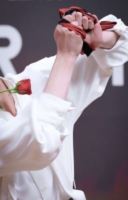 [OneShot] Hoa hồng đỏ