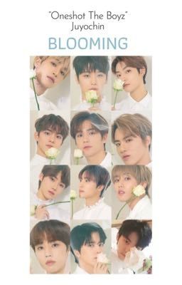 [Oneshot] The Boyz - Blooming