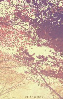 [PacaPonyo - IYMxJSW][Short fic] Late Autumn At Gwanghwamun