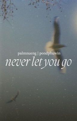 palmnueng / pondphuwin | never let you go