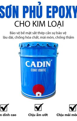 Phân Phối Sơn Phủ Epoxy Cadin Cho Kim Loại Xà Gồ Nhà Xưởng Tại Bình Thuận