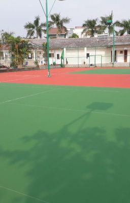 Đọc Truyện PHÂN PHỐI SƠN SÂN TENNIS KHÔNG CÁT TERRACO FLEXIPAVE COATING SMOOTH - Truyen2U.Net