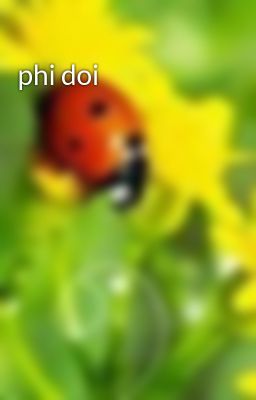phi doi