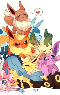 Pokemon Eeveelution Roleplay