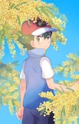 Đọc Truyện Pokémon: One true pairing (AllSatoshi) - Truyen2U.Net